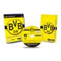 PS2 Spiel Club Football - Borussia Dortmund